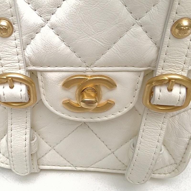 CHANEL CF季節款21秋冬豎版劍橋包白色牛皮晶片開金扣-4