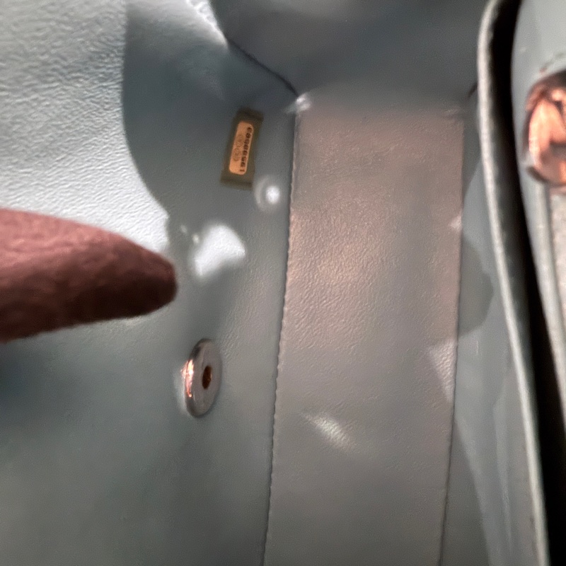 Chanel✨綠色方胖子鏈條包 19開 閒置超級新-19