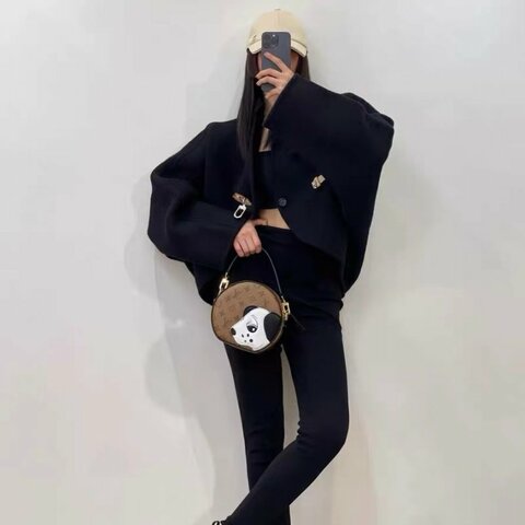 lv 圓餅 狗狗 肩背斜背包 芯片款 牛皮 17 x 18 x 7  99新配件塵袋