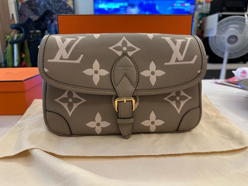 Louis Vuitton Diane 肩背/手提包-0