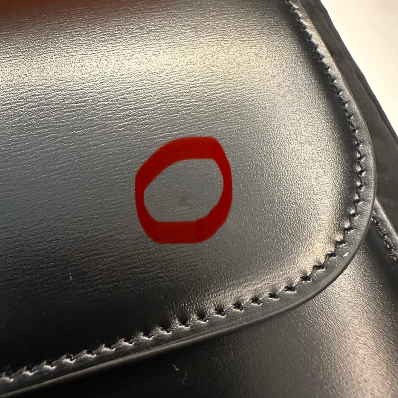 Celine Triomphe 亮澤牛皮手袋-4