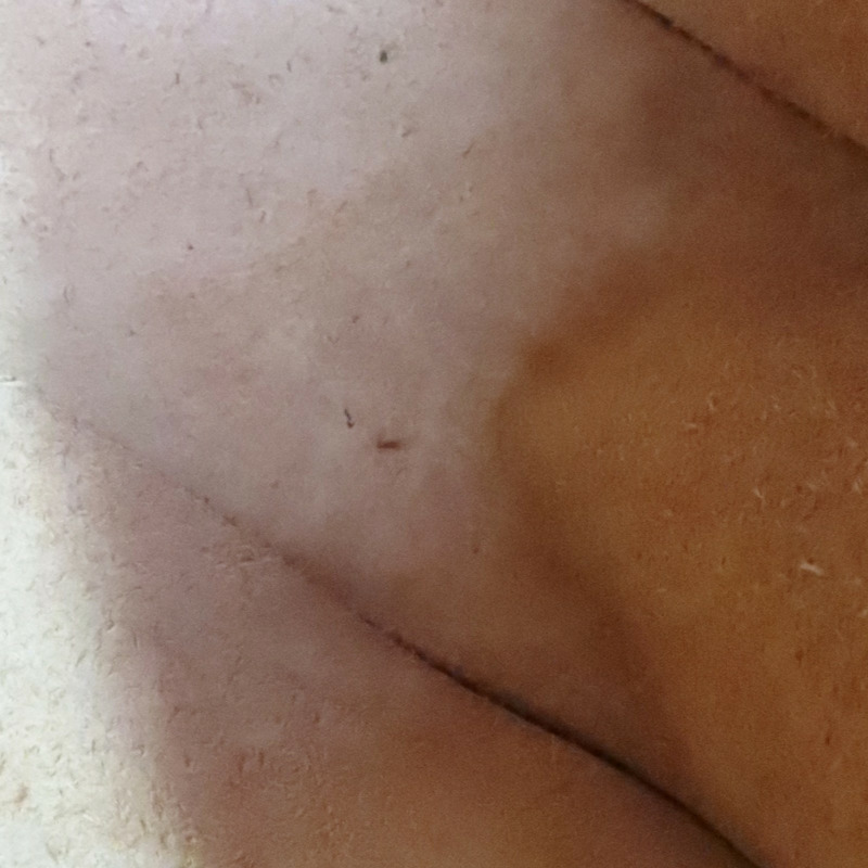 金棕色 Courchevel牛皮 Evelyne III 33 肩背包 H056275CK 口K刻【HERMES 愛馬仕】 H056275CK-15