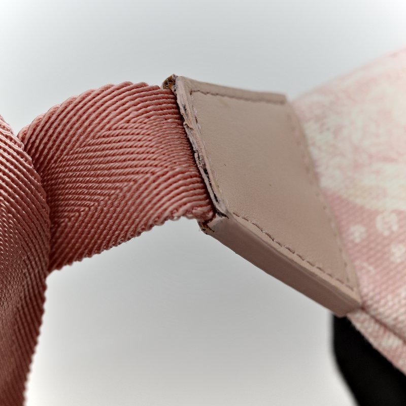 Dior 迪奧 Baby Belt Bag 粉色 腰包 斜背包-12