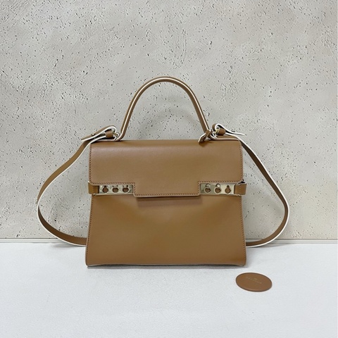 Delvaux small Tempete 小號 金棕白邊