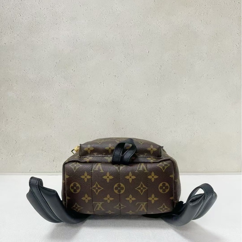 Louis Vuitton Backpack 小號老花後背包-4