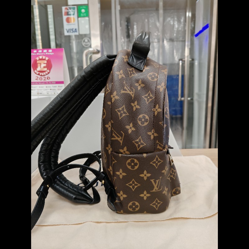 Louis Vuitton Backpack 小號老花後背包-3