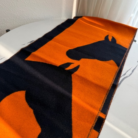 Hermes 馬馬圍巾🧣