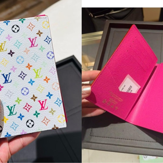 LV X TM白三彩passport holder-4