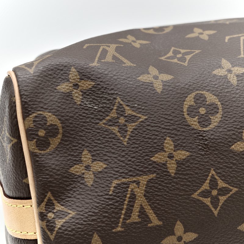 Louis Vuitton 路易威登 Speedy 25 肩帶款 經典花紋 手提包 斜挎包-8