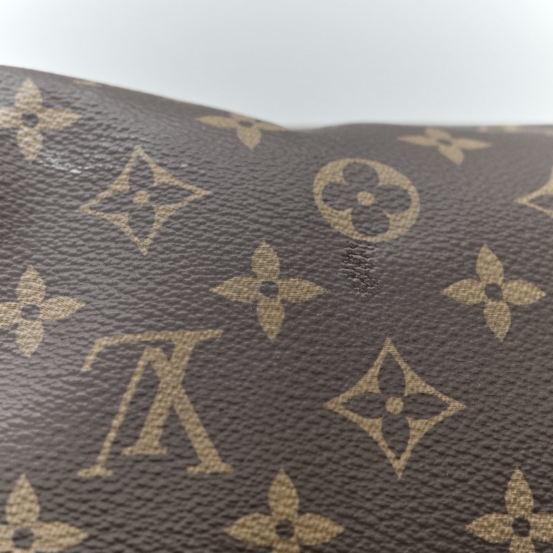 Louis Vuitton 路易威登 Speedy 25 肩帶款 經典花紋 手提包 斜挎包-9