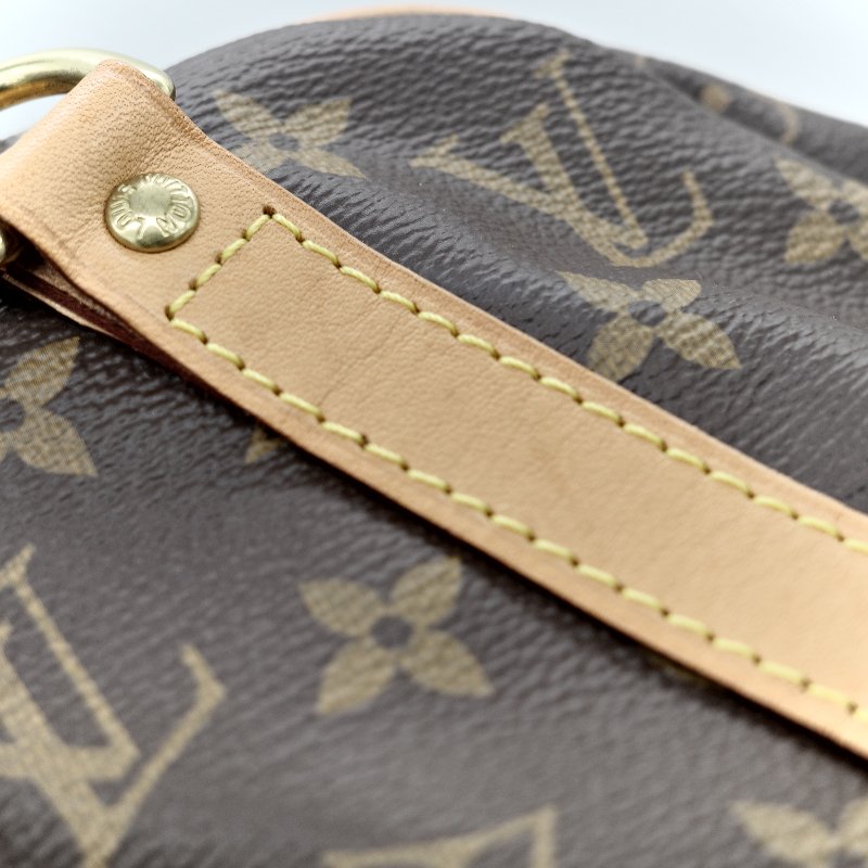 Louis Vuitton 路易威登 Speedy 25 肩帶款 經典花紋 手提包 斜挎包-17