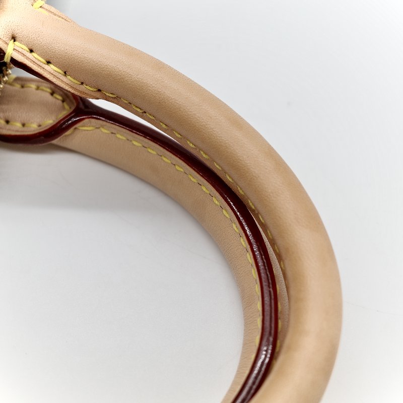 Louis Vuitton 路易威登 Speedy 25 肩帶款 經典花紋 手提包 斜挎包-30