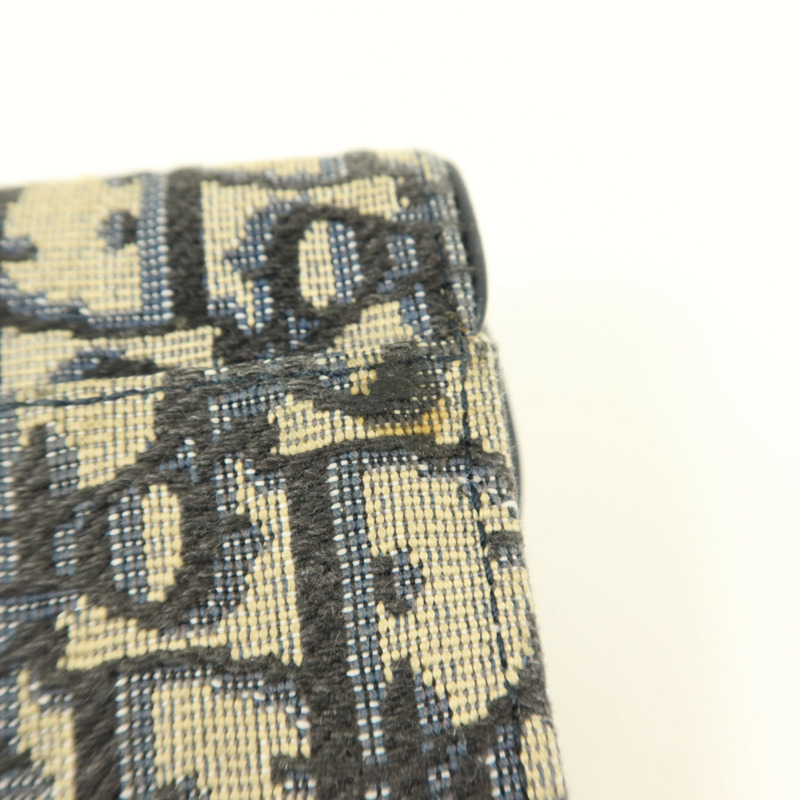 Dior 帆布Saddle Bloom Card Holder卡片套-16