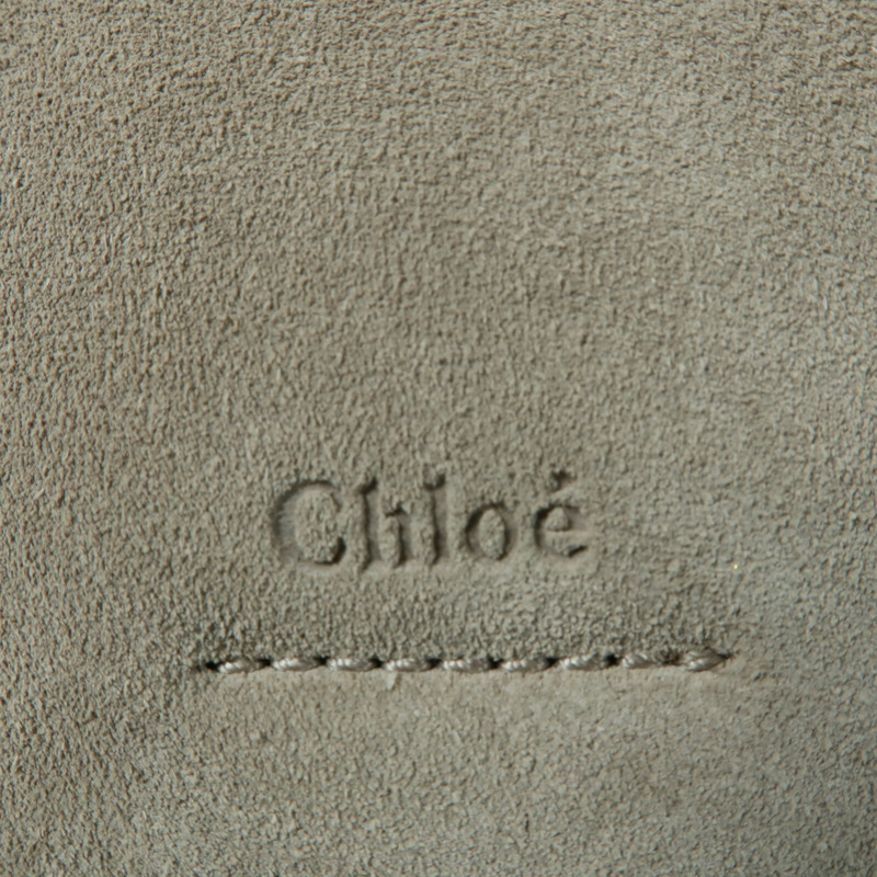 Chloe 牛皮皮革/Suede Faye Backpack背包-6