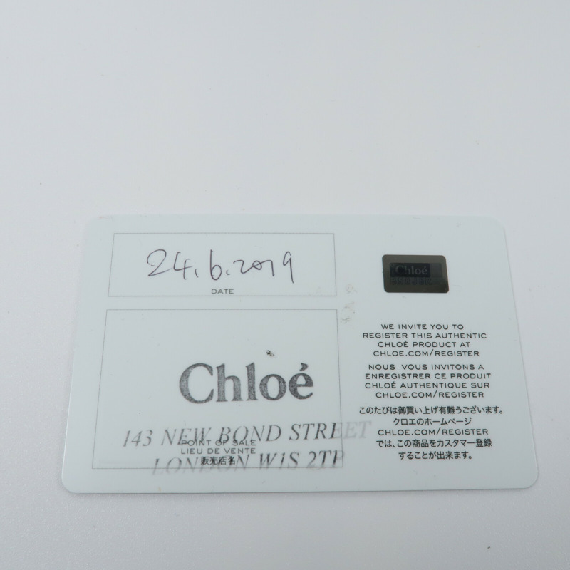 Chloe 牛皮皮革/Suede Faye Backpack背包-8