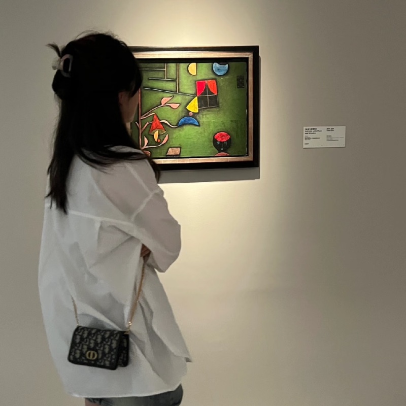 【95新 ✨ 全網最低價!】Dior/迪奧 經典老花WOC 保值款 (下單前先詢問庫存❗️❗️)-3