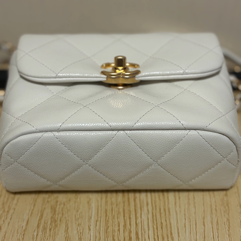Chanel Flap Bag-2