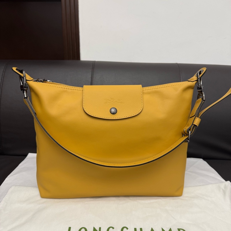 99新 龍驤Longchamp hobo  附件：塵袋-0
