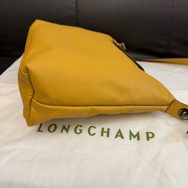 99新 龍驤Longchamp hobo  附件：塵袋-2