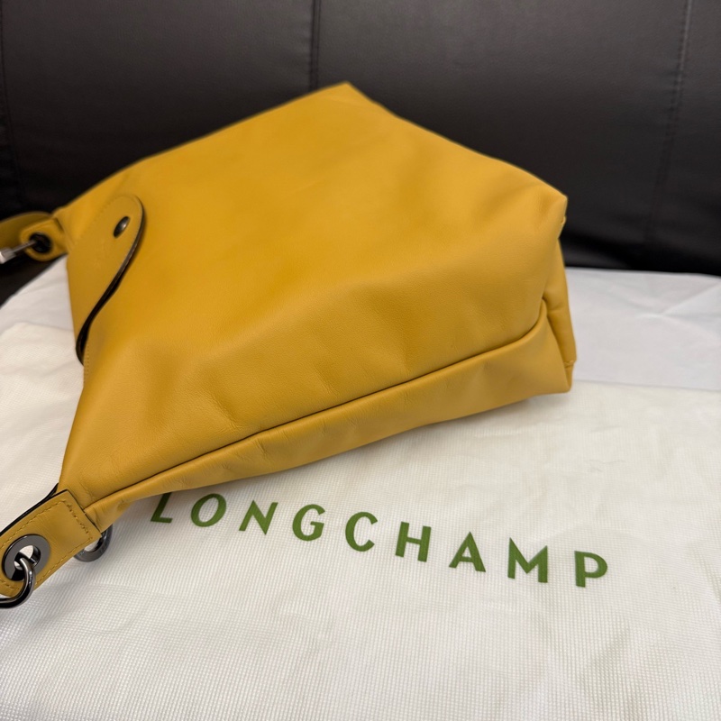 99新 龍驤Longchamp hobo  附件：塵袋-3