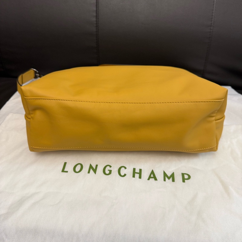 99新 龍驤Longchamp hobo  附件：塵袋-5