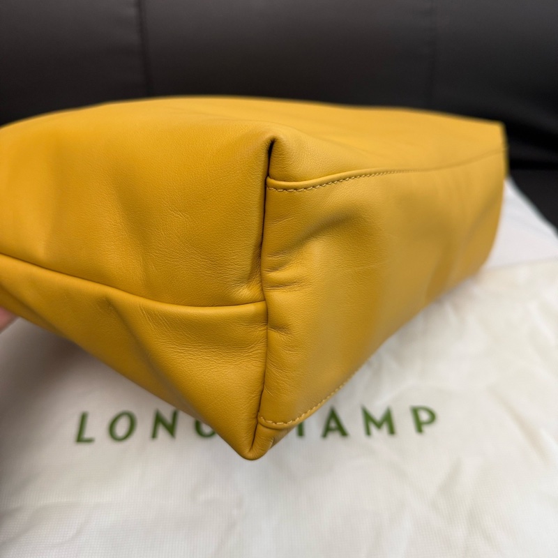 99新 龍驤Longchamp hobo  附件：塵袋-6