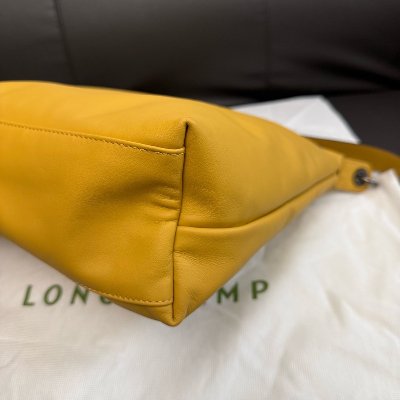 99新 龍驤Longchamp hobo  附件：塵袋-7