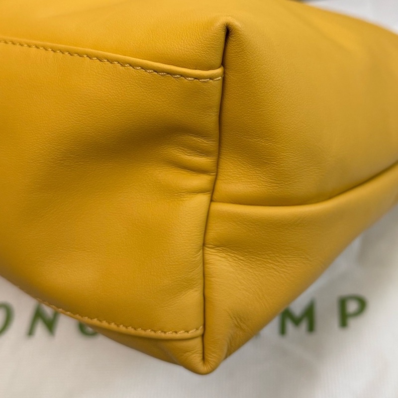 99新 龍驤Longchamp hobo  附件：塵袋-9