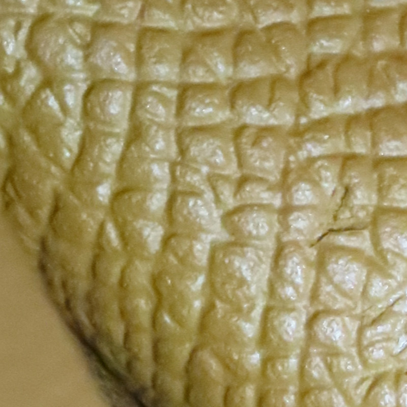 金棕色 Epsom牛皮 Constance To Go Wallet 肩背包 Y刻 金釦【HERMES 愛馬仕】 H080126CC37-6