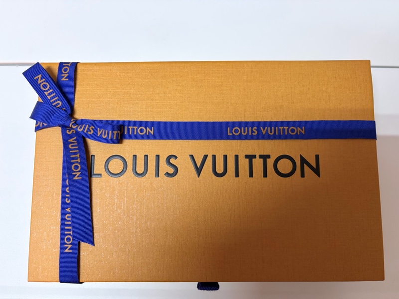 LV 路易威登 真品＊M82610 Félicie Pochette 斑鳩灰色皮革壓花紋 WOC三合一 金鏈斜背包-9