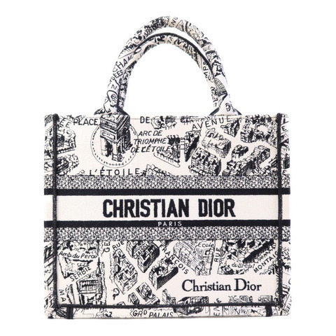Dior 帆布Book Tote Small手挽袋