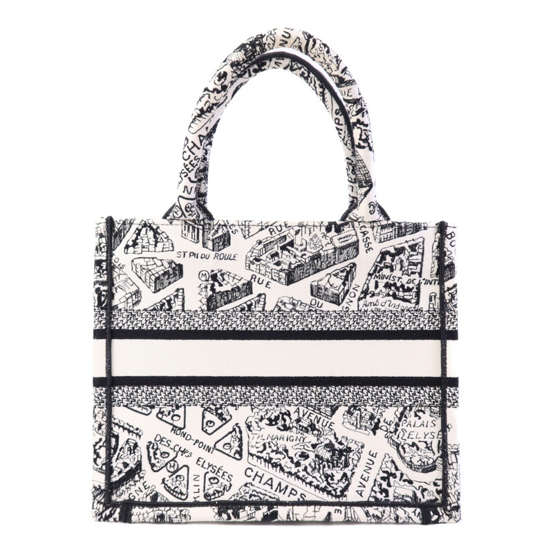 Dior 帆布Book Tote Small手挽袋-1