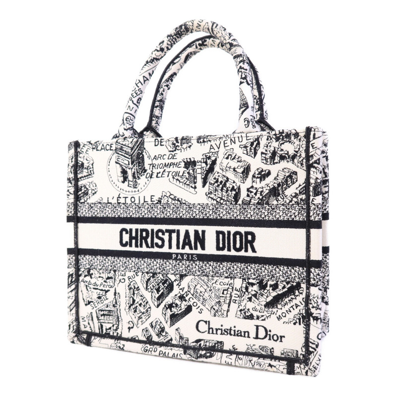 Dior 帆布Book Tote Small手挽袋-2