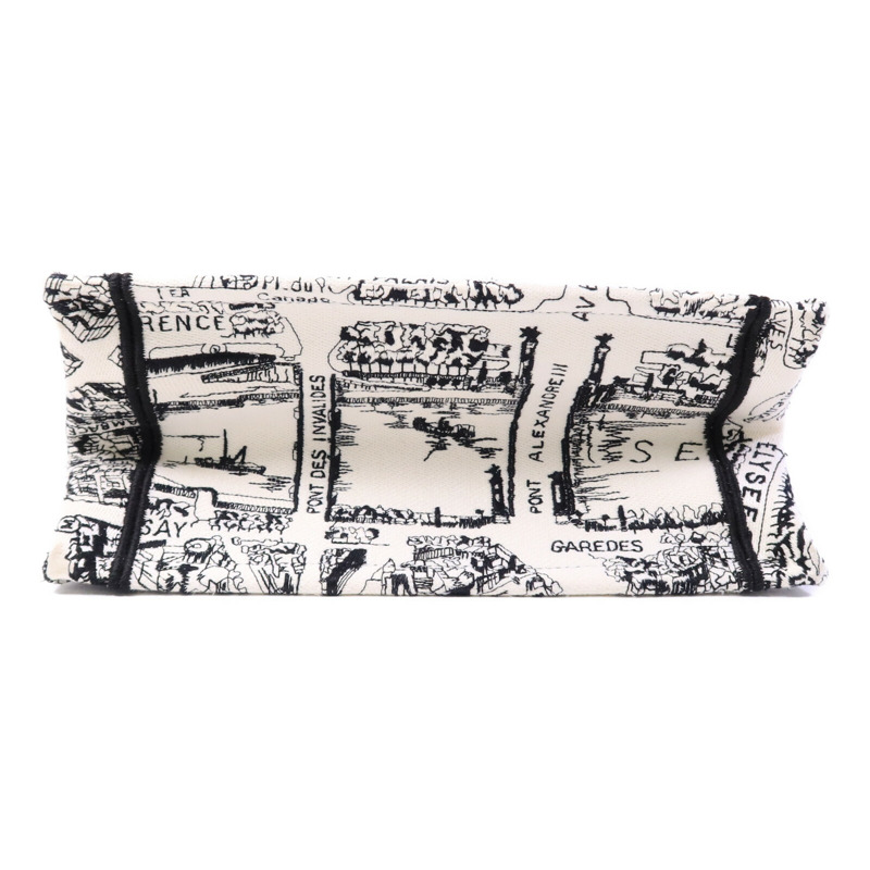 Dior 帆布Book Tote Small手挽袋-3