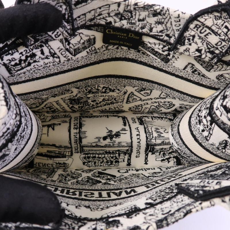 Dior 帆布Book Tote Small手挽袋-4