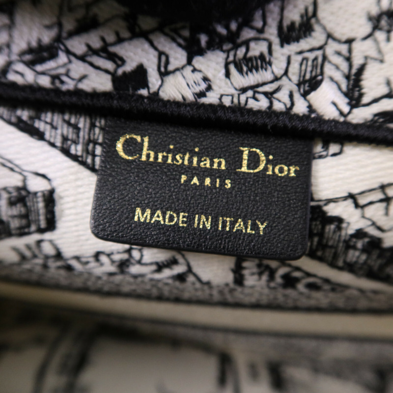 Dior 帆布Book Tote Small手挽袋-5