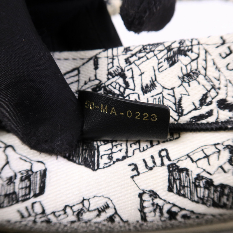 Dior 帆布Book Tote Small手挽袋-6