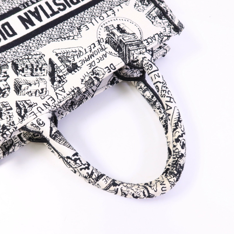 Dior 帆布Book Tote Small手挽袋-7