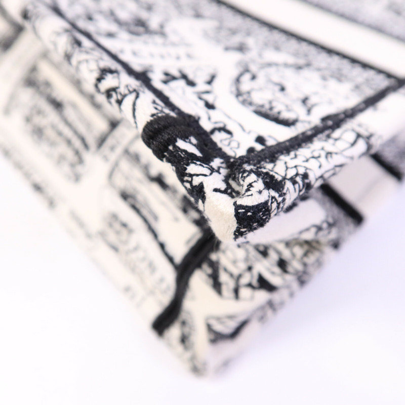 Dior 帆布Book Tote Small手挽袋-10