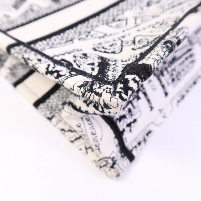 Dior 帆布Book Tote Small手挽袋-11