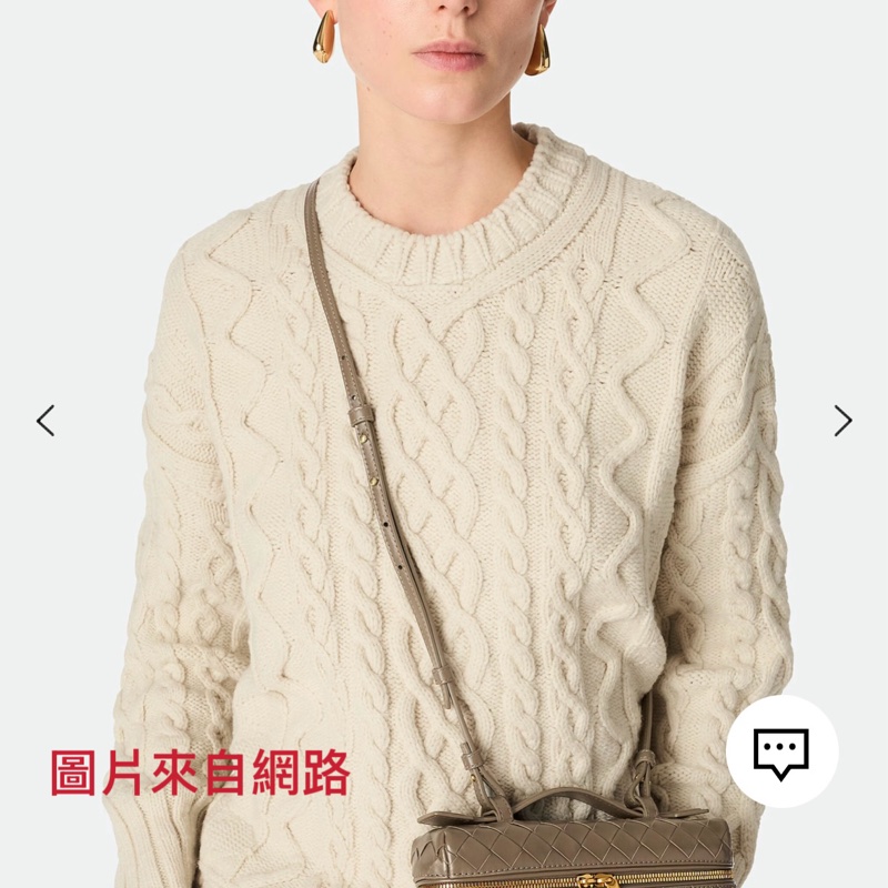 BV 咖牛皮物金釦手提斜背化妝包-10