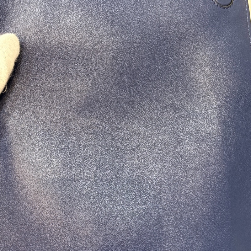 LOEWE ANTON 藍色 銀釦 T型包 斜背包 書包 翻蓋包-63