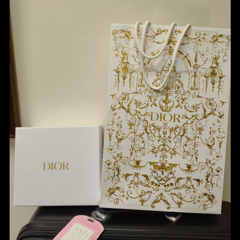 Dior Oblique 窄版圍巾Rose Des Vents 喀什米爾羊毛-1