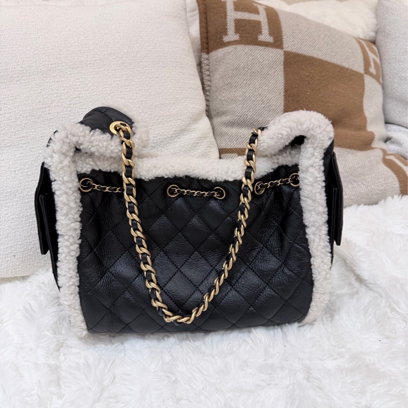 Chanel/ Small 25 Hanbag Teddy-3