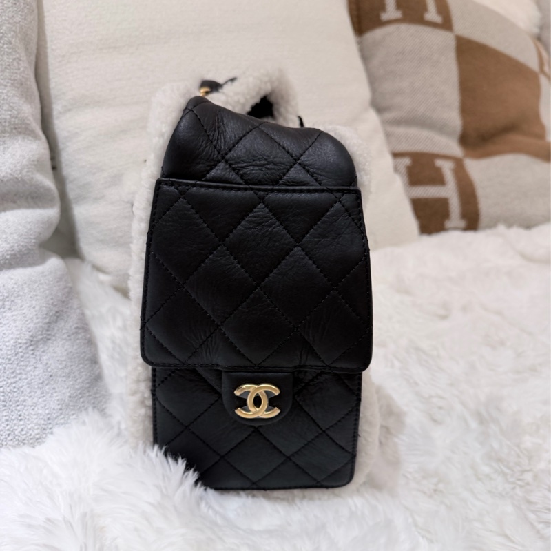Chanel/ Small 25 Hanbag Teddy-4