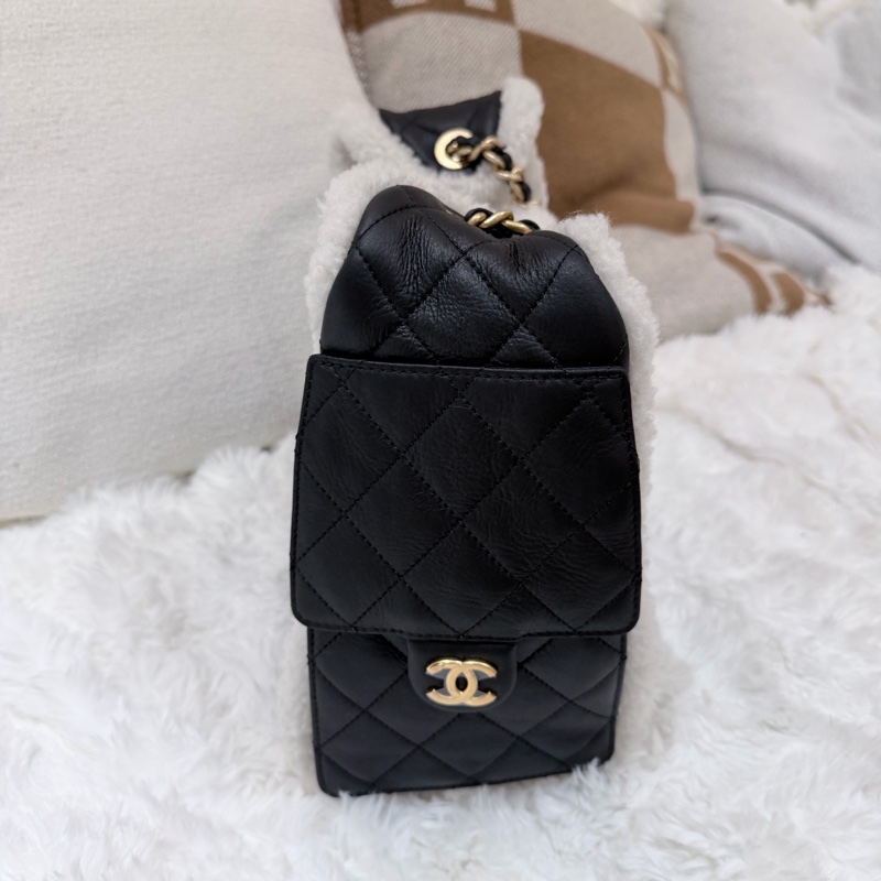 Chanel/ Small 25 Hanbag Teddy-5