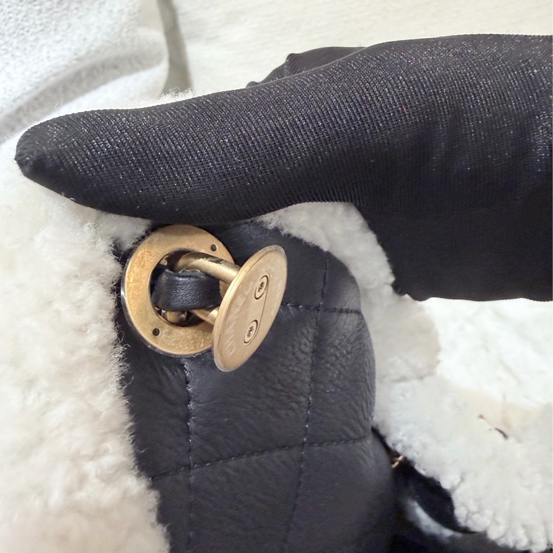 Chanel/ Small 25 Hanbag Teddy-21