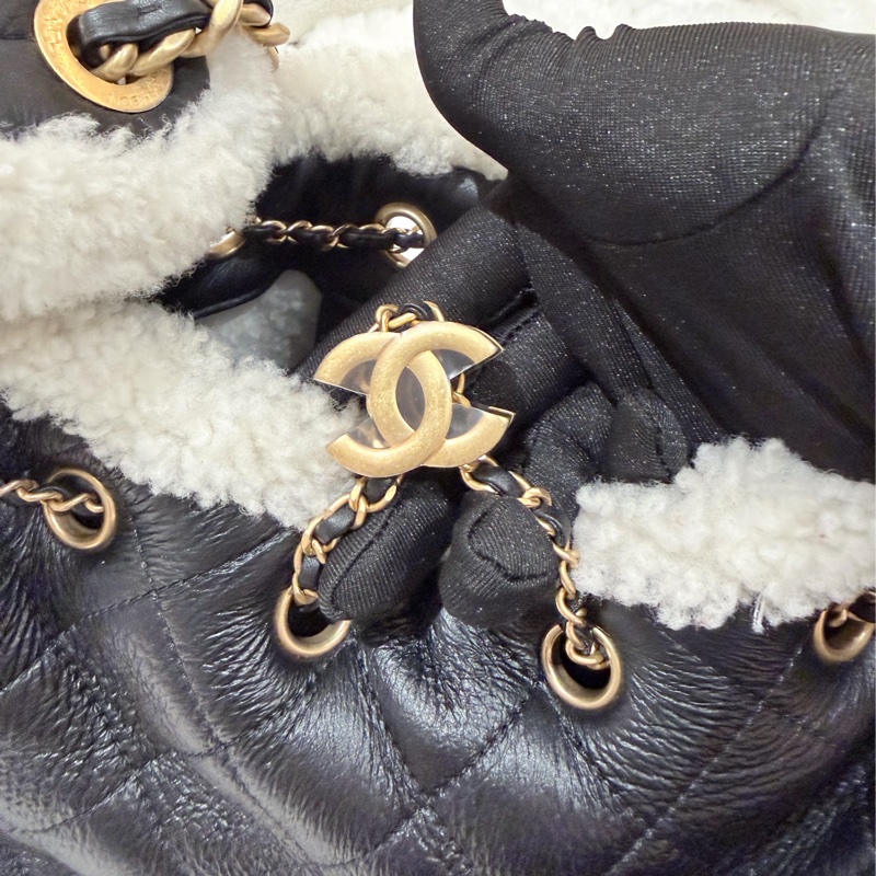 Chanel/ Small 25 Hanbag Teddy-23