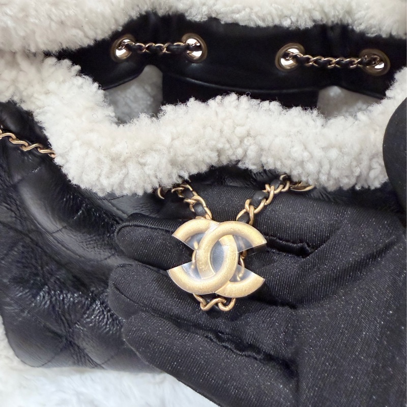 Chanel/ Small 25 Hanbag Teddy-24