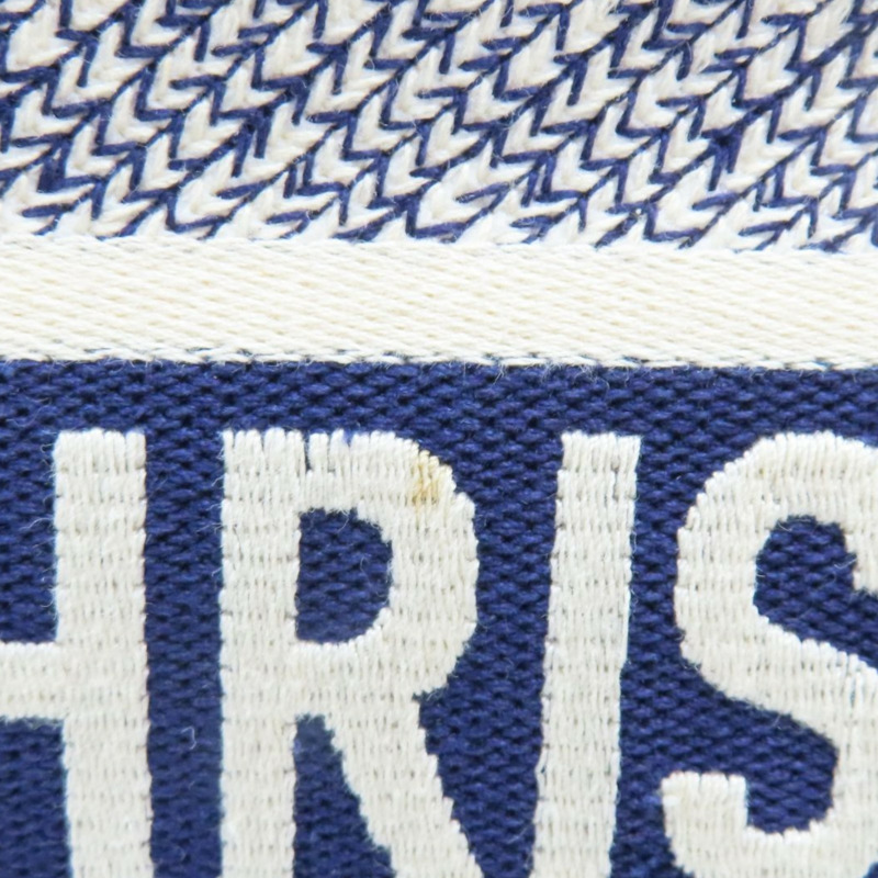 深藍/白色 緹花帆布 Book Tote M 托特包 手提包【Dior 迪奧】 M1296ZTDT-10